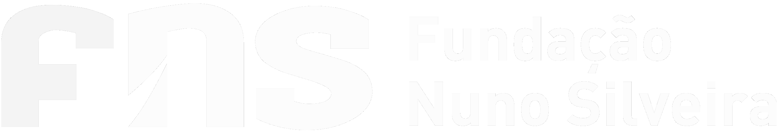 Fundação Nuno Silveira